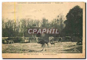 Old Postcard Exposition Coloniale Internationale Paris Zoo's African Savanna ...