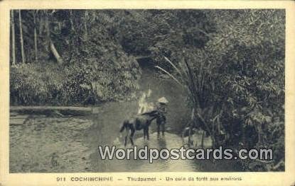 Thudaumot, Un Coin de foret aux environs Cochinchine Vietnam, Viet Nam Unused 