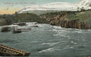 YUKON , Canada , 1908 ; Looking up One Mile River