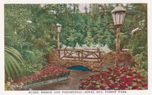 Missouri St Louis Forest Park Jewel Box Rustic Bridge and Poinsettias