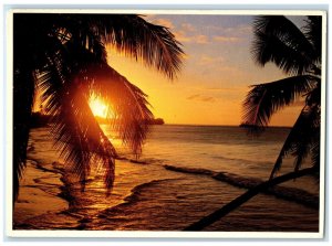 1981 Scene of Tahitian Sunset French Polynesia Vintage Posted Postcard