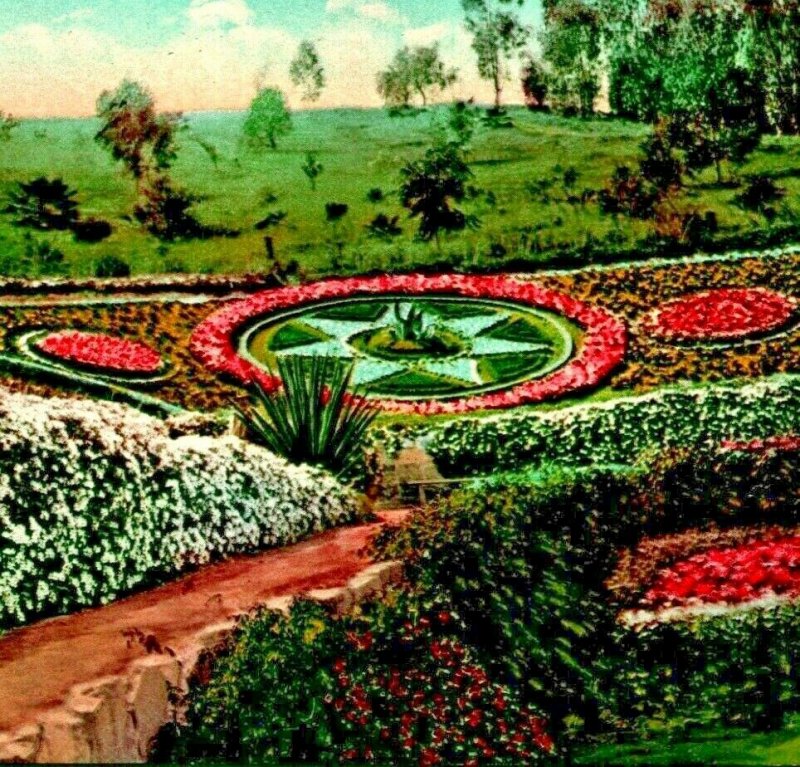 Los Angeles California CA Flower Beds at Elysian Park 1910 Vtg Postcard Mitchell