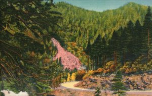 Vintage Postcard 1930's Curves Highway Through Great Smoky Mountains Natl. Park