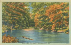 Lake Maranocook Maine Greetings, Water, Trees Linen Postcard Used