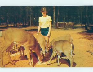 Pre-1980 PRETTY GIRL FEEDS BABY DEER Wisconsin Dells By Baraboo Portage WI H1747