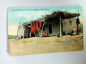 Vintage Postcard Chili (Red Pepper) drying in Front of Adobe Home