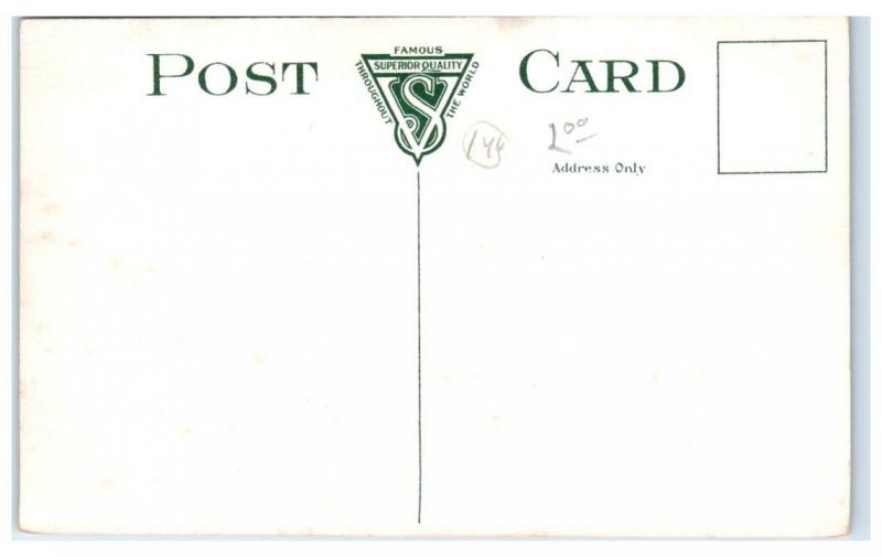 Early 1900s Bear Den, Forest Park, St. Louis, MO Postcard 