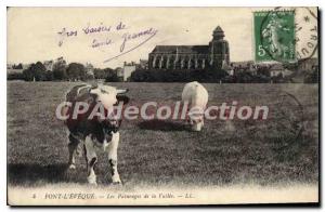 Old Postcard Pont L'Eveque The Pastures De La Vallee