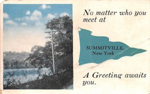 Greetings From Summitville, New York  