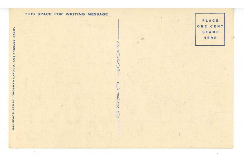 CA - The Streamliner Passing Through An Orange Grove