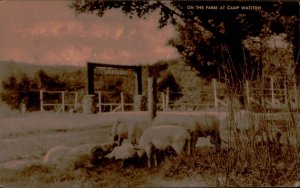 B579 United States Becket on the Farm at Camp Watitoh 1938
