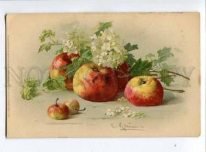 257469 APPLE from Flower to Fruit by C. KLEIN Vintage M&B PC