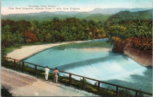 Greetings from Jamaica Dam Head Irrigation Unused Jamaica Views Postcard H15