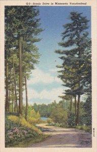 Minnesota Crosslake Scenic Drive In Minnesota Vacationland