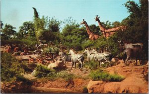 Disneyland The Magic African Veldt Gazelles Gnoes Zebra Lions Giraffes C168