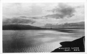 Postcard RPPC Photo Nevada Walker Lake #309 23-284