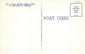 Bull Moose By Lake Moose Unused 