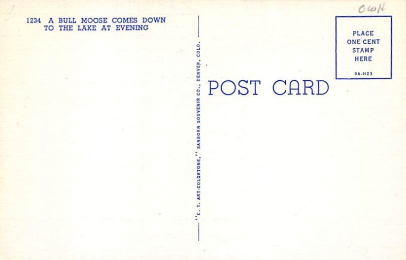 Bull Moose By Lake Moose Unused 