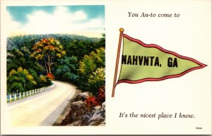 Linen Postcard Pennant Greetings from Nahunta, Georgia