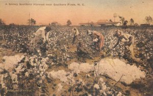 SOUTHERN PINES NORTH CAROLINA BLACK AMERICANA HAND COLORED POSTCARD (1920s)