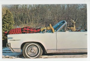 P2574 vintage postcard tables turned on this deer hunter