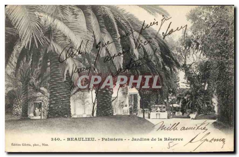 Old Postcard Beaulieu Palm Gardens Reserve