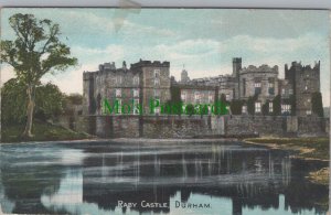 Co Durham Postcard - Durham, Raby Castle  DC2602