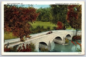 Burnside's Bridge Antietam Maryland Near Hagerstown Nature Attractions Postcard