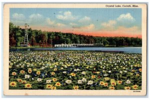 1968 Crystal Lake Corinth View Floating Flower Wind Mill Mississippi MS Postcard