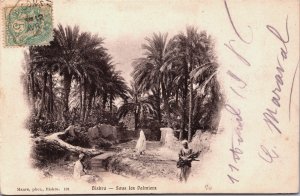 Algeria Biskra Sous les Palmiers Vintage Postcard C192