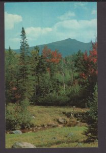 New York - A Picturesque View in the heart of the Mountains - Chrome