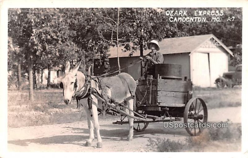 Ozark Express in Camdenton, Missouri