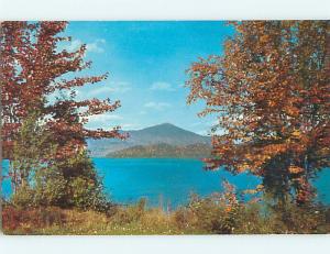 Unused Pre-1980 GREETINGS FROM - AUTUMN TREES AT SHORELINE Oneonta NY Q7922@