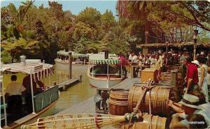 ANAHEIM, CALIFORNIA Jungle River Cruise DISNEYLAND 7650 postcard