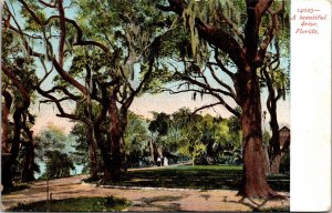 Walkway Florida Park Trees Water Souvenir Post Card Co WOB UNP Vintage Postcard 