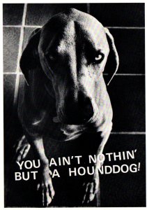 You Ain't Nuthin' But A Hounddog! Postcard 1980 Tracy Landworth Ame...