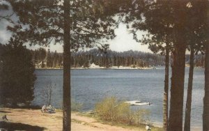 CA, California  LAKE ARROWHEAD  Boat Dock~Family Picnic  1940 Union 76 Postcard