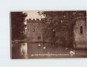 Postcard Bishops Palace Gateway & Moat Wells England