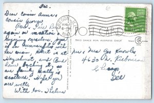 Rustic Bridge Illinois Postcard White Pines Forest State Park River Trees c1947