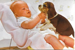 Baby playing with his dog Modern Spanish photo postcard