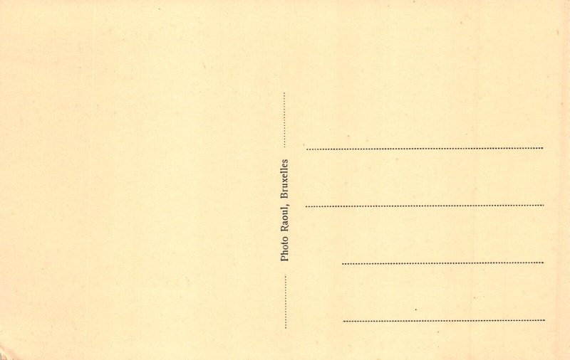 L116 Belgium Brussels Hotel Siru a corner of the cafeteria vintage postcard