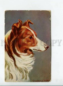 3170471 Portrait Dog COLLIE by DONADINI vintage Colorful PC