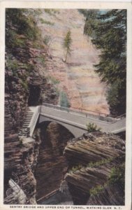 New York Watkins Glen Sentry Bridge & Upper End Of Tunnel 1920 Curteich