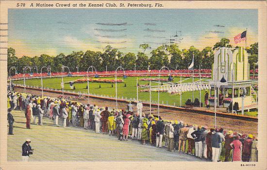 Dog Racing Matinee Crowd At Kennel Club St Petersburg Florida 1939 Curteich