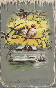 Vintage Christmas 1906-Embossed Bird in Tree A Merry