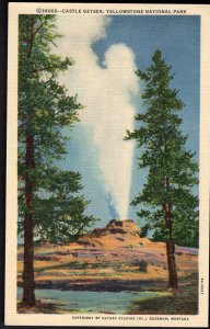 32120) Wyoming Castle Geyser Yellowstone National Park - LINEN