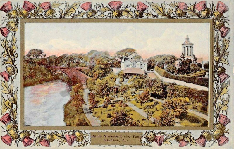 AYR SCOTLAND UK~MONUMENT & TEA GARDENS~DAVIDSONS THISTLE BORDER POSTCARD