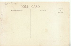 Middlesex Postcard - Hampton Court Palace - The Maze - TZ11378