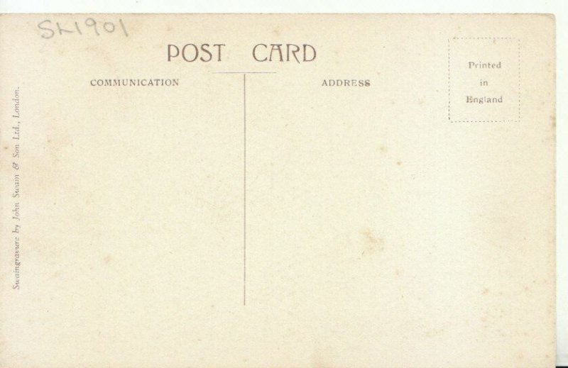 Middlesex Postcard - Hampton Court Palace - The Maze - TZ11378