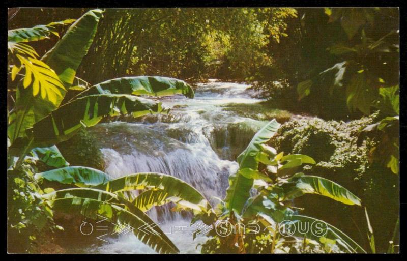 Mountain Stream, Jamaica, W. I.